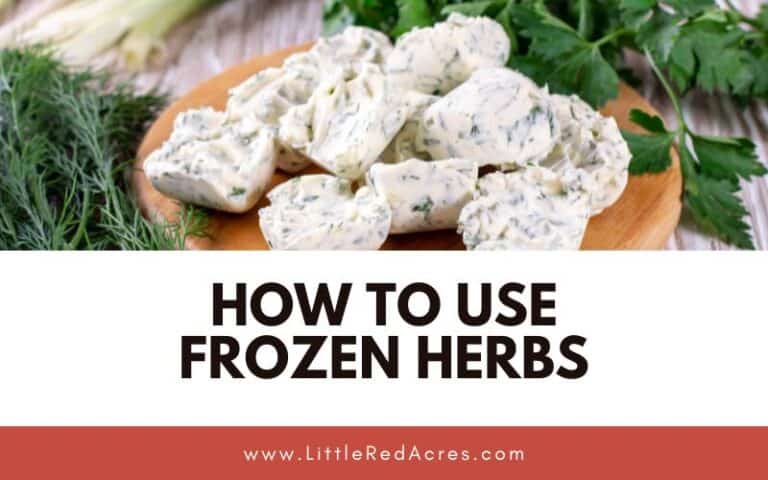 How to Use Frozen Herbs on Your Homestead