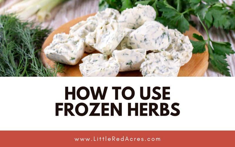 frozen herbs with How to Use Frozen Herbs text overlay