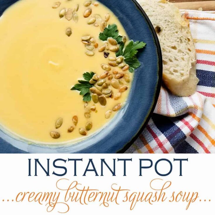 Image for INSTANT POT Creamy Butternut Squash Soup