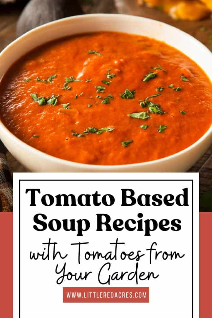 bowl of soup with Tomato Based Soup Recipes with Tomatoes from Your Garden text overlay