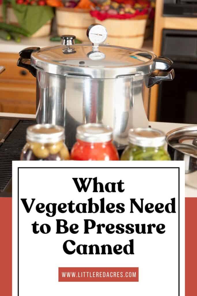 pressure canner with What Vegetables Need to Be Pressure Canned text overlay