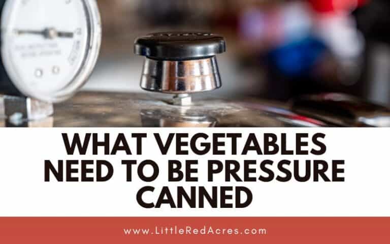 What Vegetables Need to Be Pressure Canned