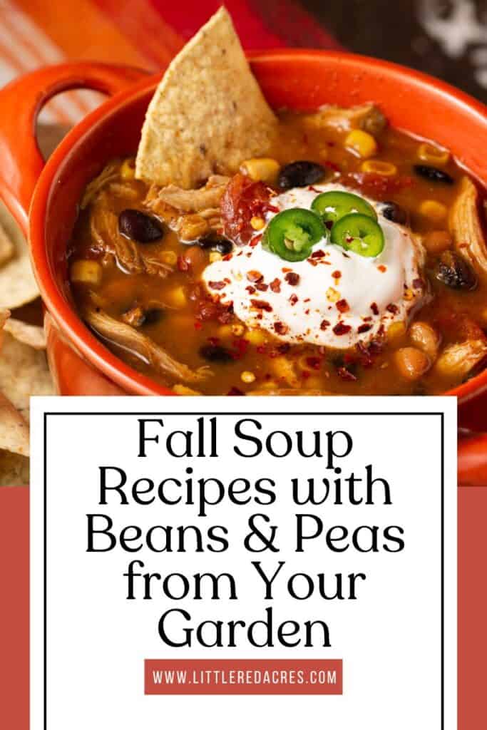 bowl of soup with Fall Soup Recipes with Beans & Peas from Your Garden text overlay