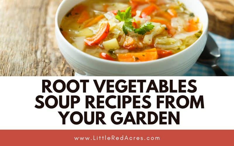 bowl of soup with Root Vegetables Soup Recipes from Your Garden text overlay