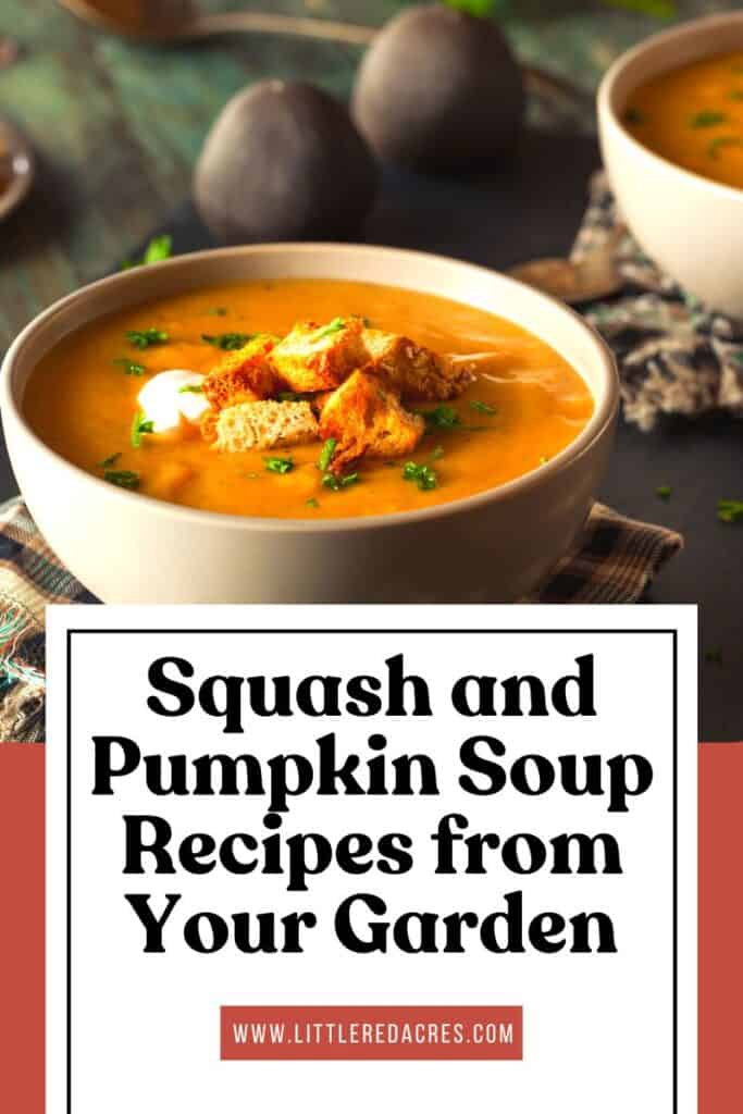 soup with Squash and Pumpkin Soup Recipes from Your Garden text overlay