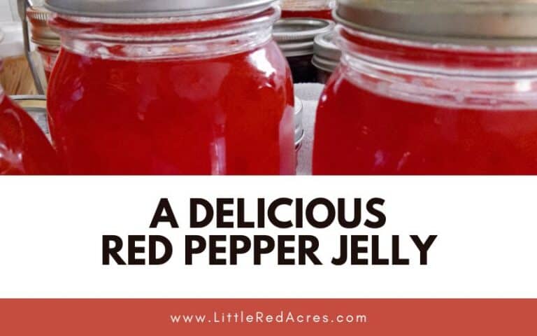 Spice Up Your Snacks: A Delicious Red Pepper Jelly Recipe