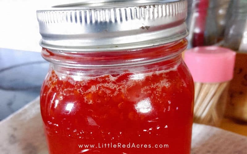 Red Pepper Jelly in jars