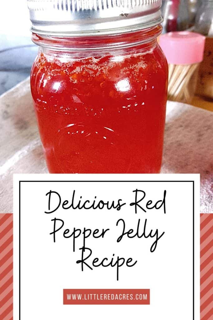 A Delicious Red Pepper Jelly Recipe