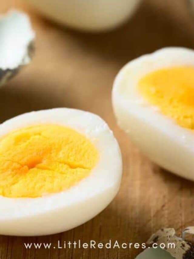 boiled quail egg sliced in half