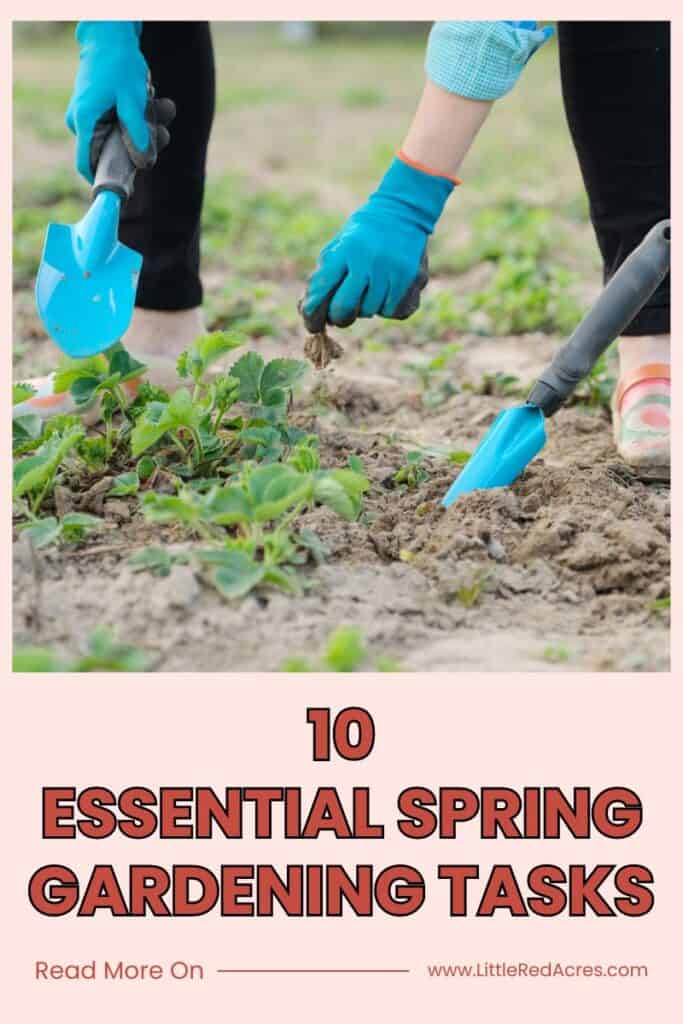 working plants into the soil with Essential Spring Gardening Tasks text overlay