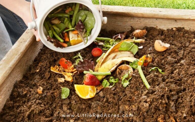 Step-by-Step Instructions: Crafting the Perfect Compost Pile