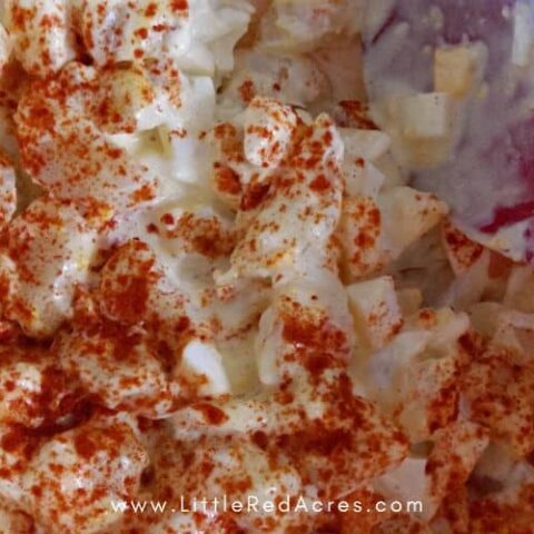Classic Potato Salad