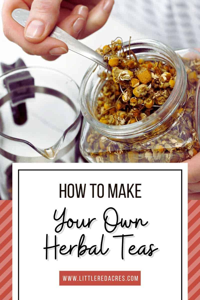 How to Make Your Own Herbal Tea