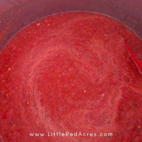 Easy Homemade Pizza Sauce