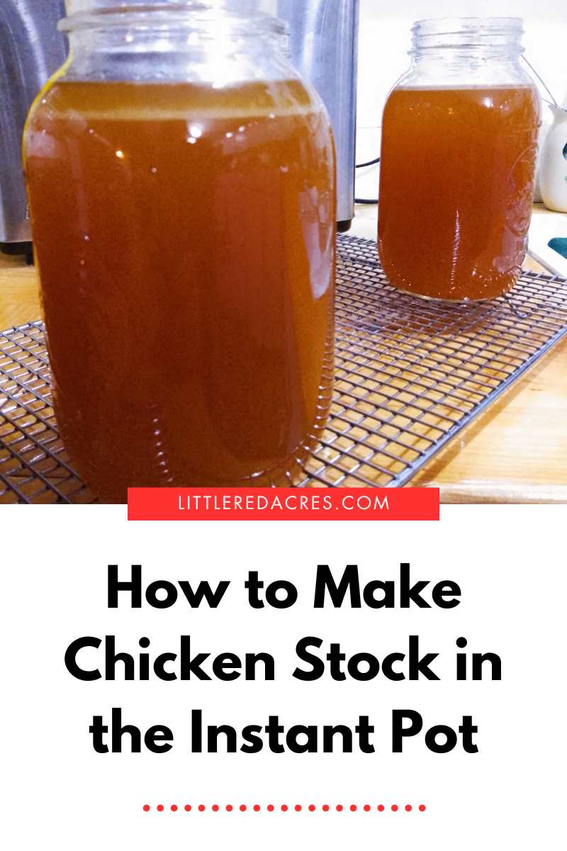 Making A Stock How to Make Chicken Stock in the Instant Pot