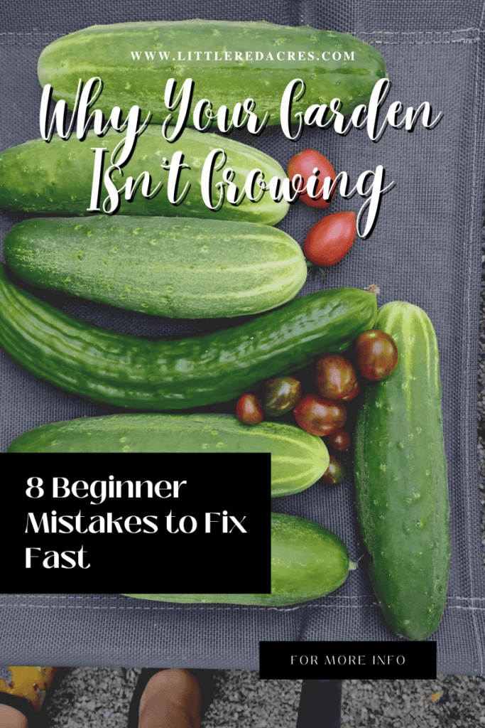 cucumbers and cherry tomatoes with Why Your Garden Isn’t Growing: 8 Beginner Mistakes to Fix Fast text overlay